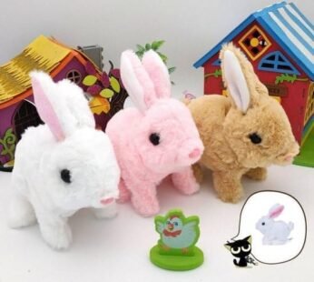 10111 Walking and Talking Rabbit /Dog RandomToys