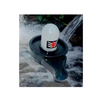 2020 ( 12 pcs ) Water Sensor Shivling