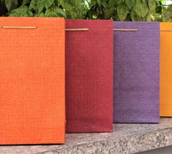 4138 (10 pcs) Paper Bags 29 × 18 cm