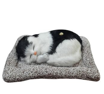 CJ0183 Soft Cute music Cat with Matt